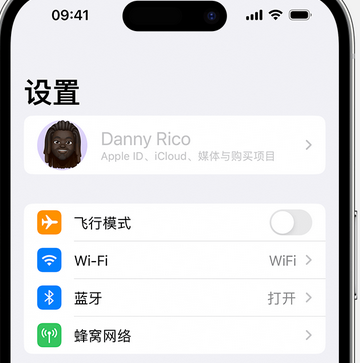 资阳appleID维修服务iPhone设置中Apple ID显示为灰色无法使用 