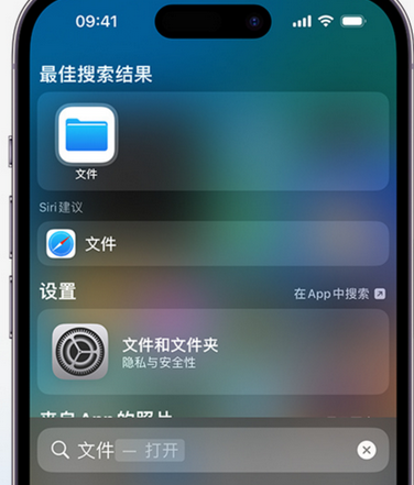 资阳apple维修中心分享iPhone文件应用中存储和找到下载文件 