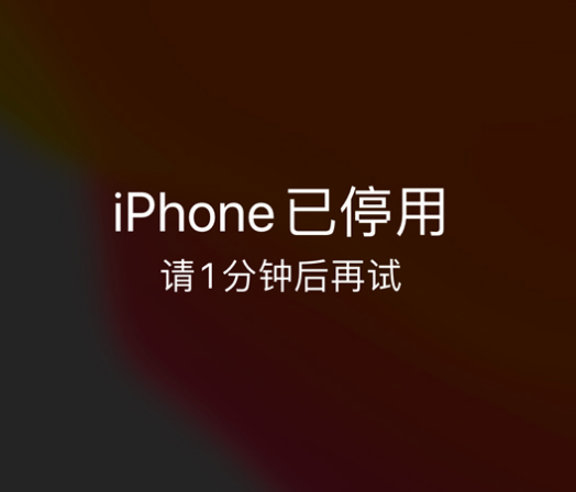 资阳苹果手机维修分享:iPhone 显示“不可用”或“已停用”怎么办？还能保留数据吗？ 