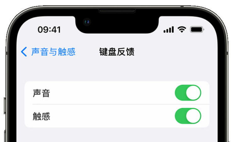 资阳苹果手机维修分享iPhone 14触感键盘使用方法 