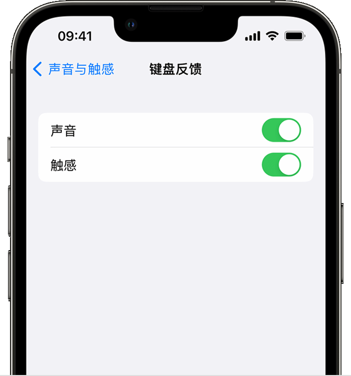 资阳苹果14维修店分享如何在 iPhone 14 机型中使用触感键盘 