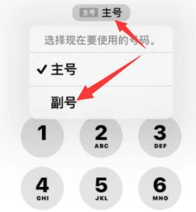 资阳苹果14维修店分享iPhone 14 Pro Max使用副卡打电话的方法 