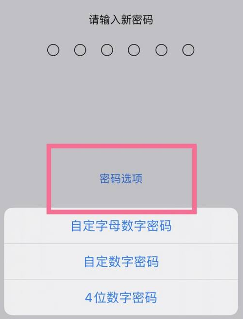 资阳苹果14维修分享iPhone 14plus设置密码的方法 