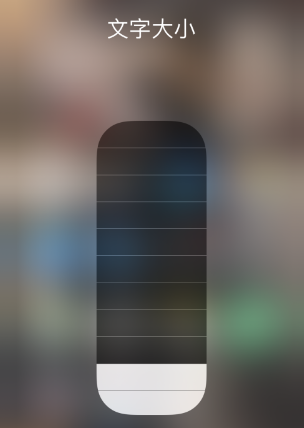资阳苹果手机维修分享小技巧：在 iPhone 控制中心快速调节字体大小 