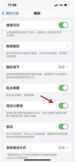 资阳苹果手机维修分享iPhone手机如何设置摇一摇删除文字 